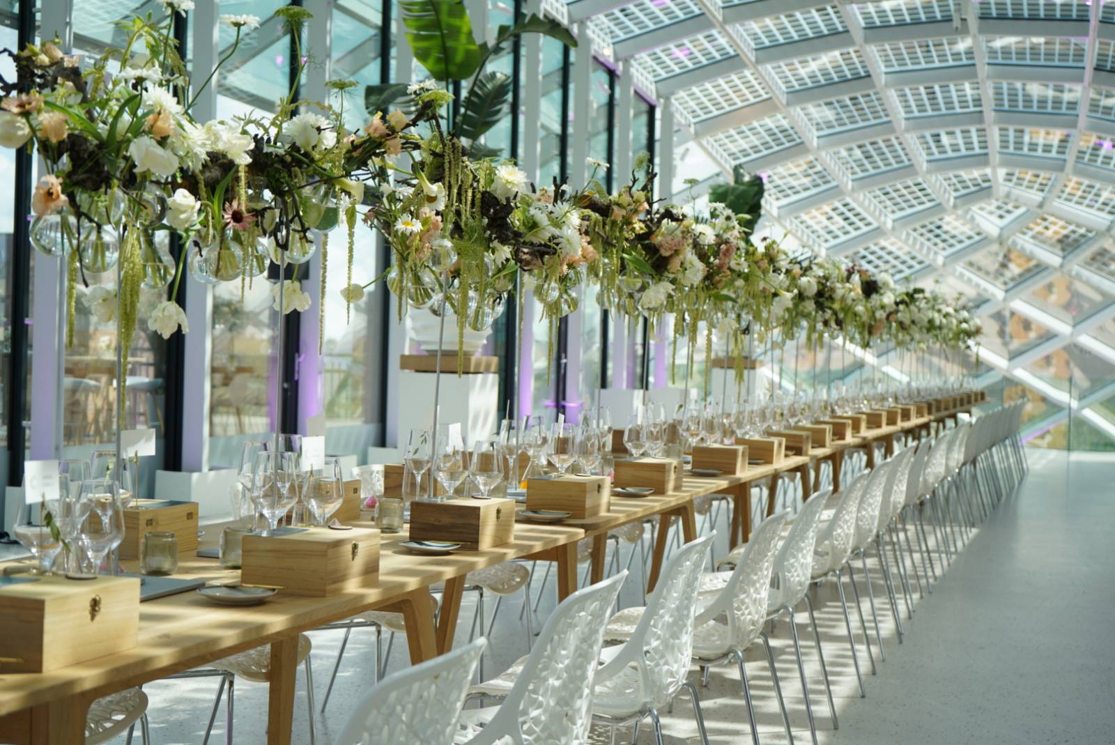 Where ideas come to life